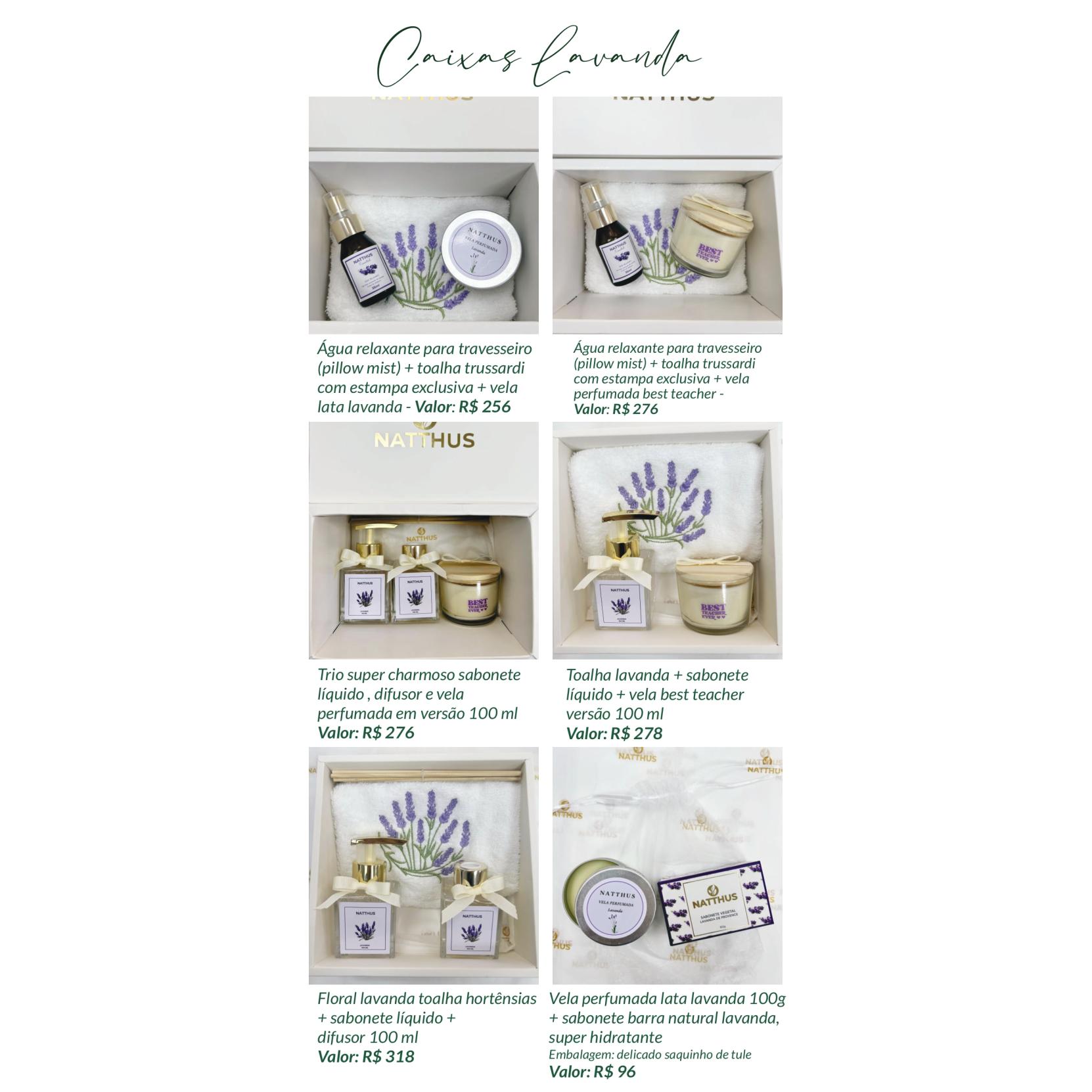 Catalogo professores 25_pages-to-jpg-0008