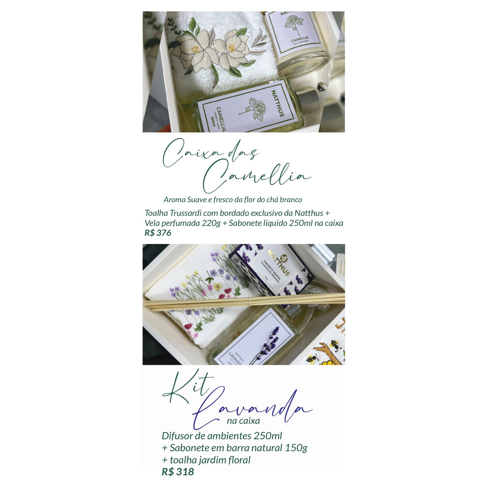 Catalogo professores 25_pages-to-jpg-0015