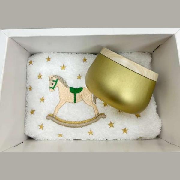 CAIXA CRIATIVA CAVALINHO